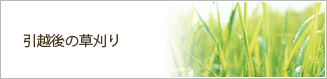 引越後の草刈り