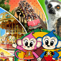 貸切バス お出かけスポット