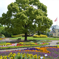 貸切バス お出かけスポット