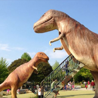 貸切バス お出かけスポット