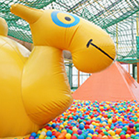 貸切バス お出かけスポット