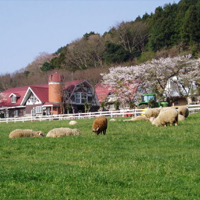 貸切バス お出かけスポット