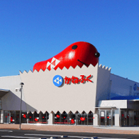 貸切バス お出かけスポット