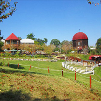 貸切バス お出かけスポット