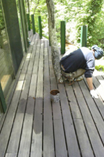 別荘 小規模工事